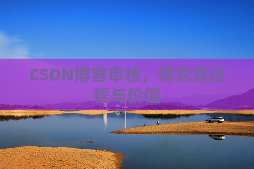 CSDN博客审核，探究其过程与价值